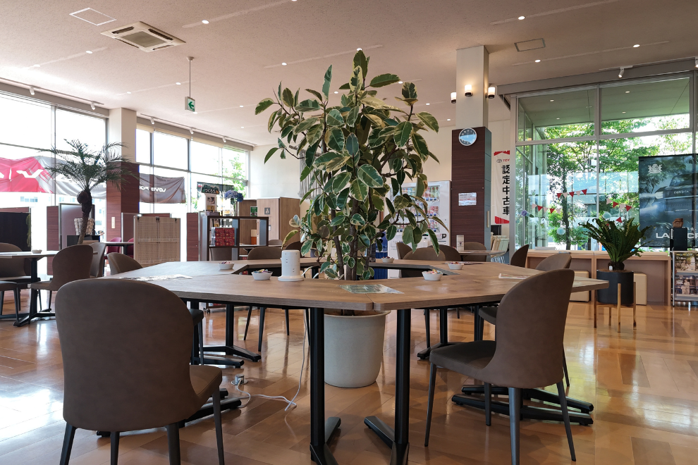 50店内２