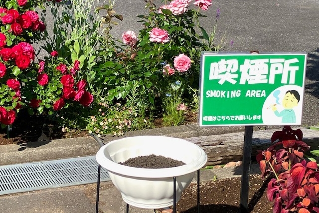 アレス成田店