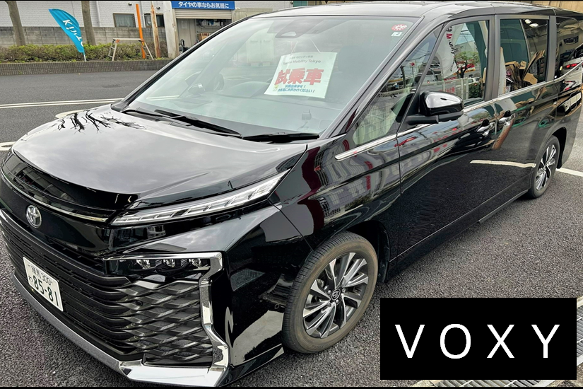 VOXY