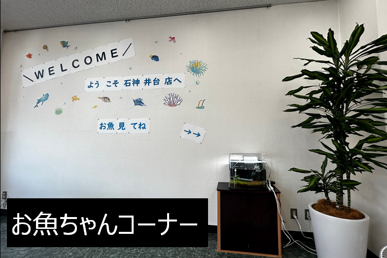 お魚