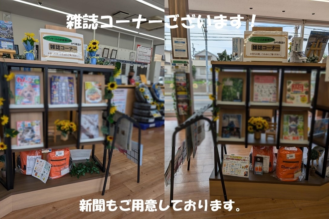 小平津田店
