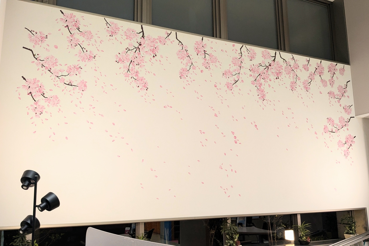 ショールーム最奥白壁　桜の装飾２：春装飾　白壁桜２