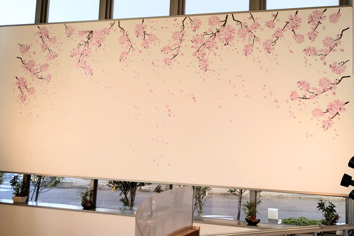 ショールーム最奥白壁　桜の装飾４：春装飾　白壁桜４