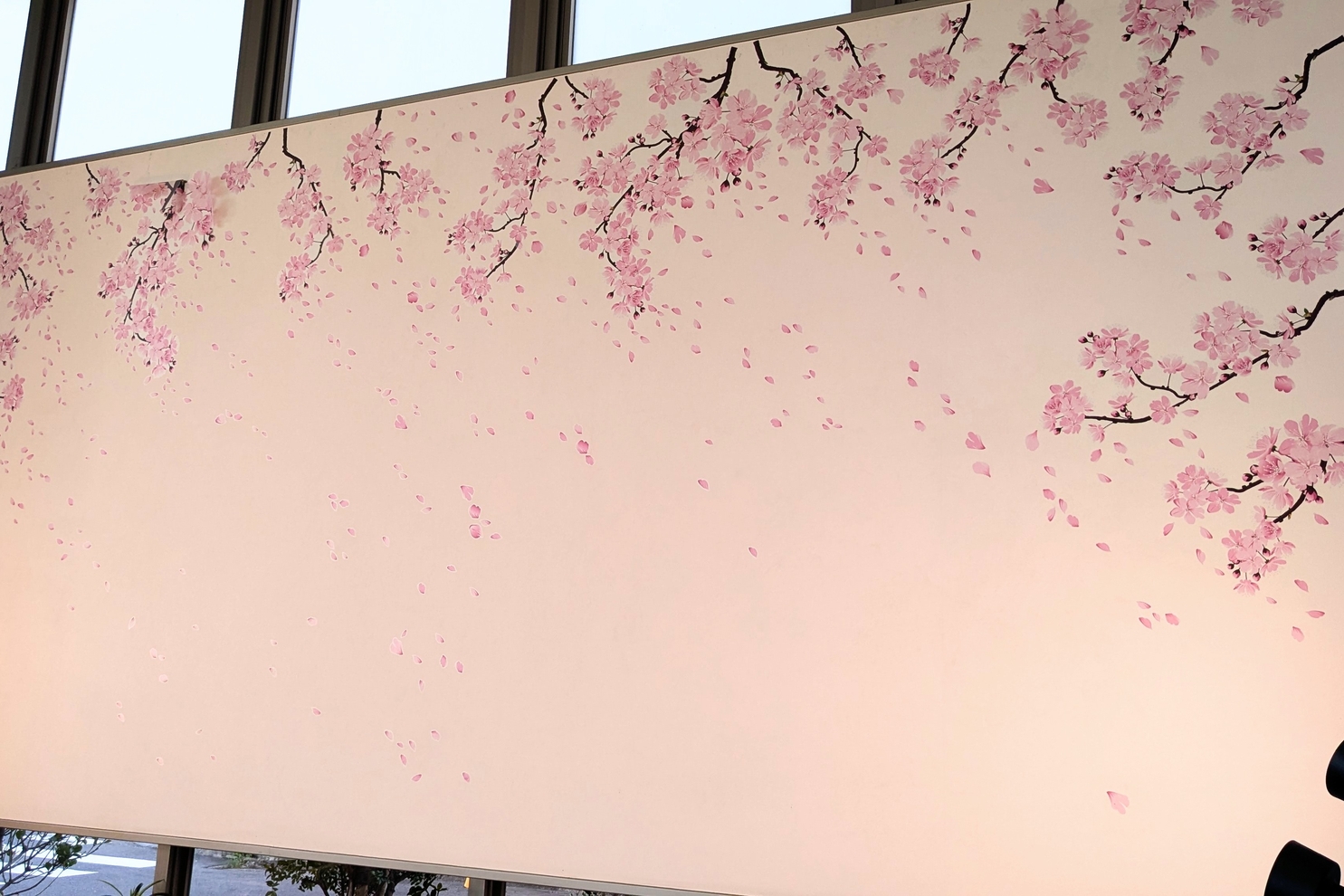 ショールーム最奥白壁　桜の装飾３：春装飾　白壁桜３
