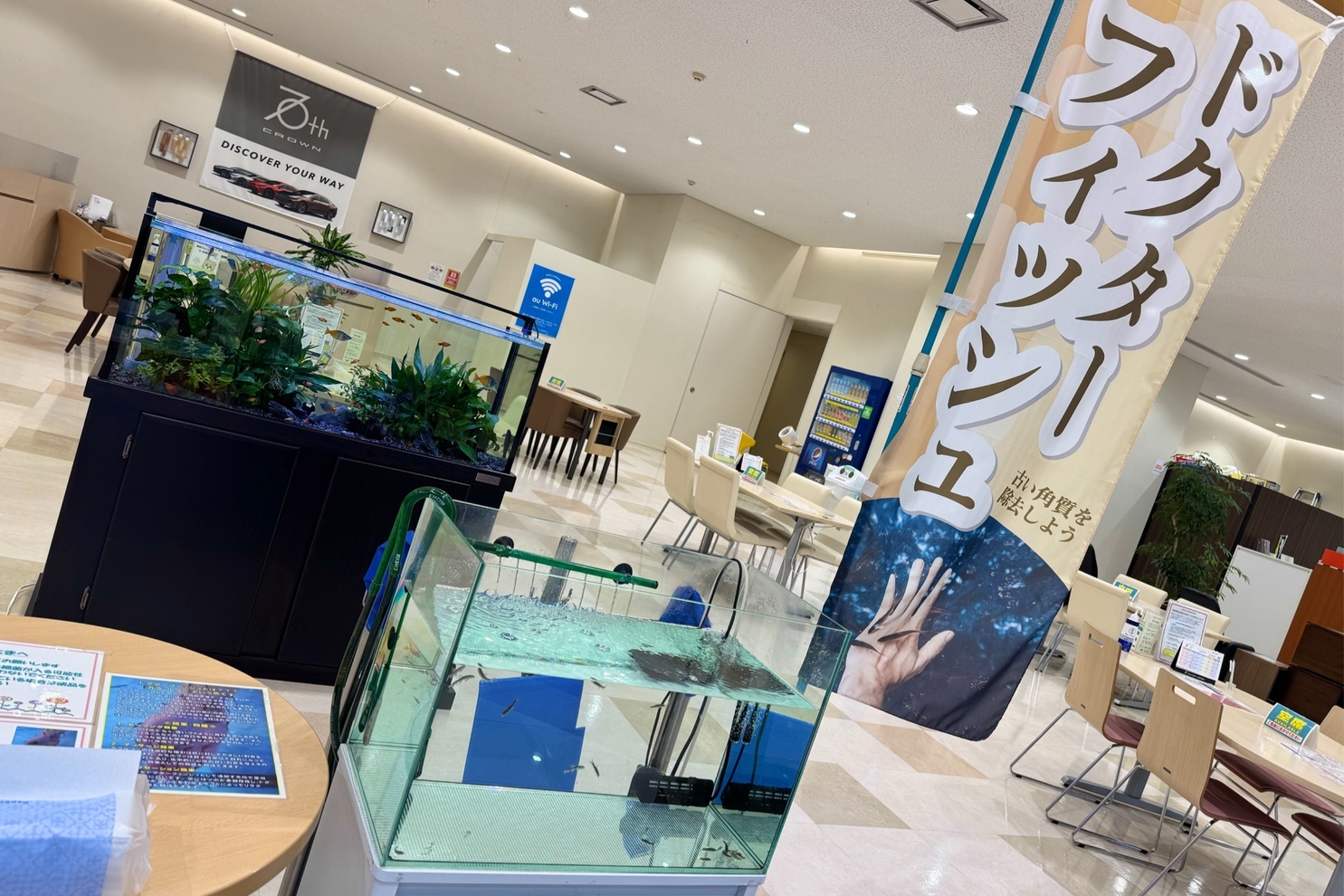 魚