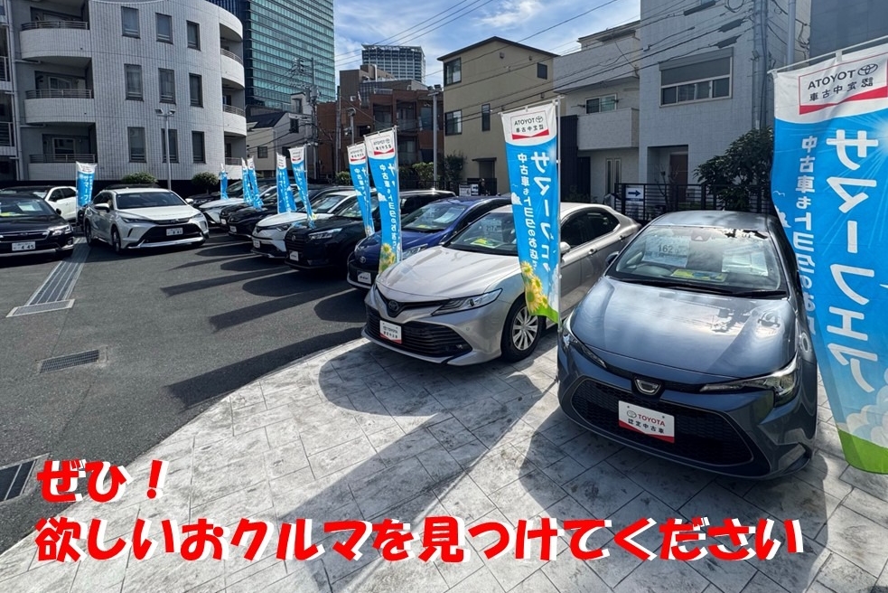 渋谷神泉店_中古車展示_夏
