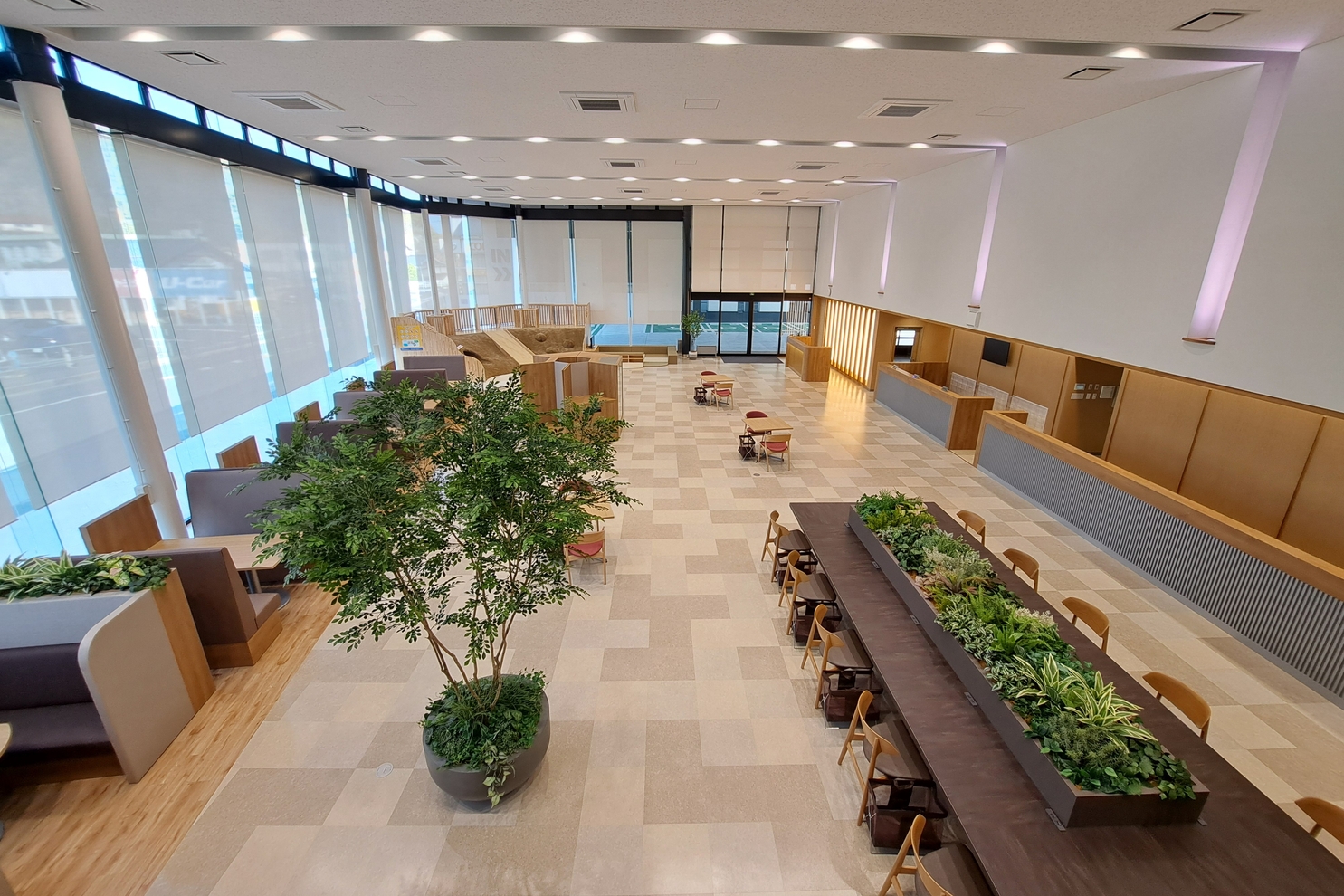 ﾄﾖﾀｳﾝ雲南