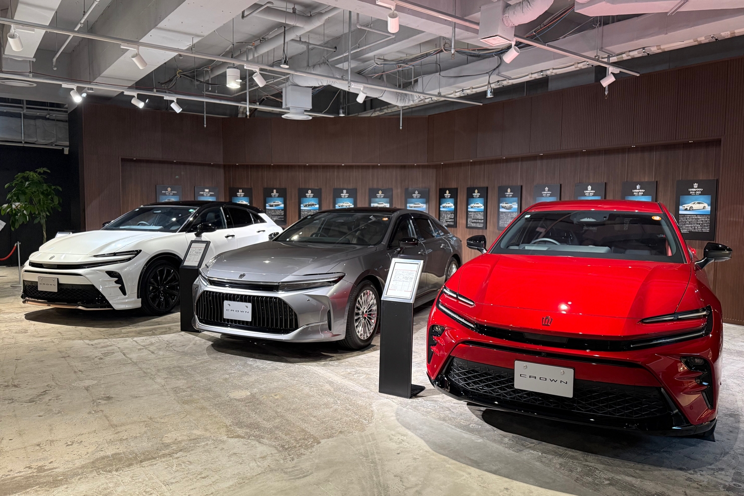 FSクラウン群展示