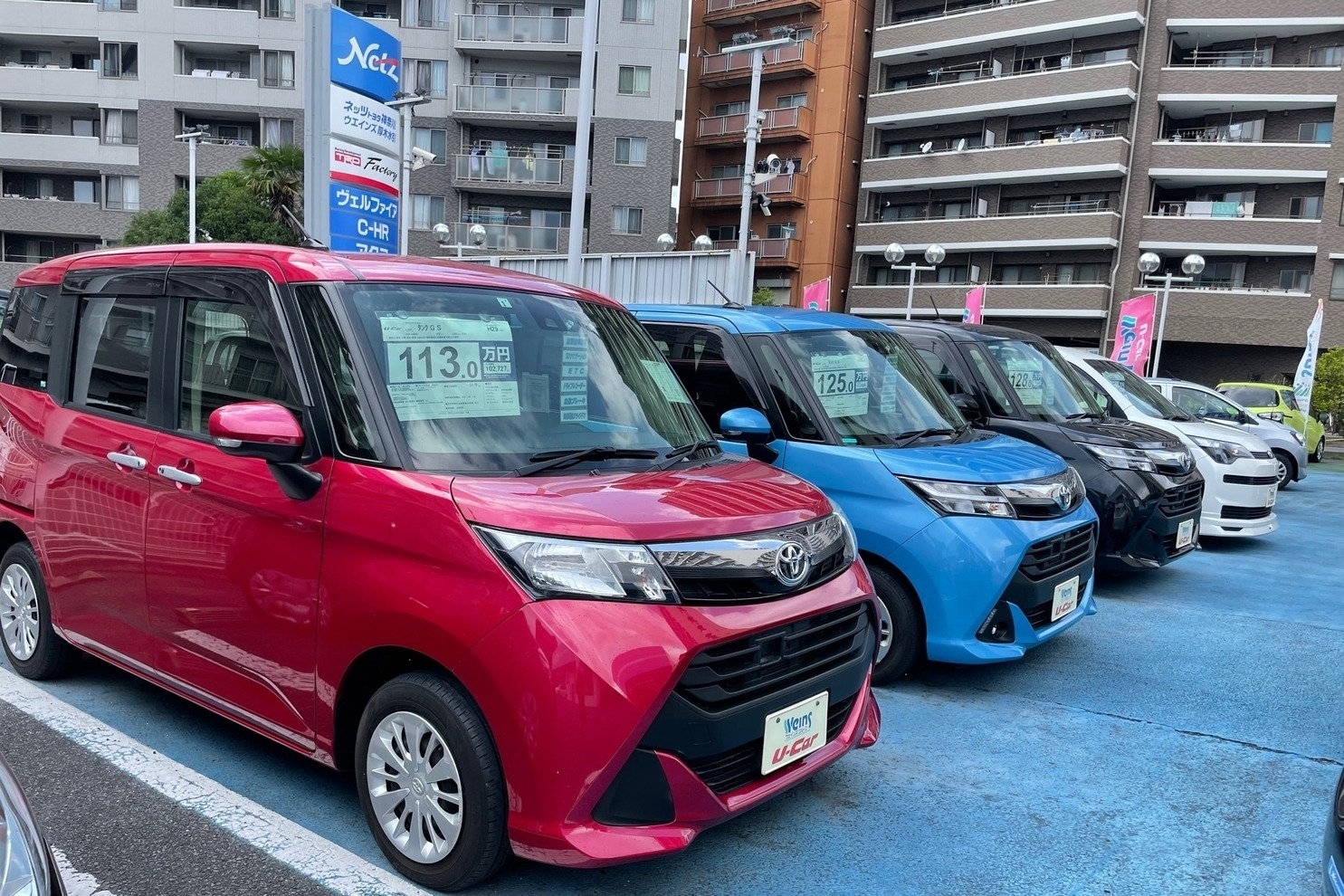 厚木水引店_展示車3