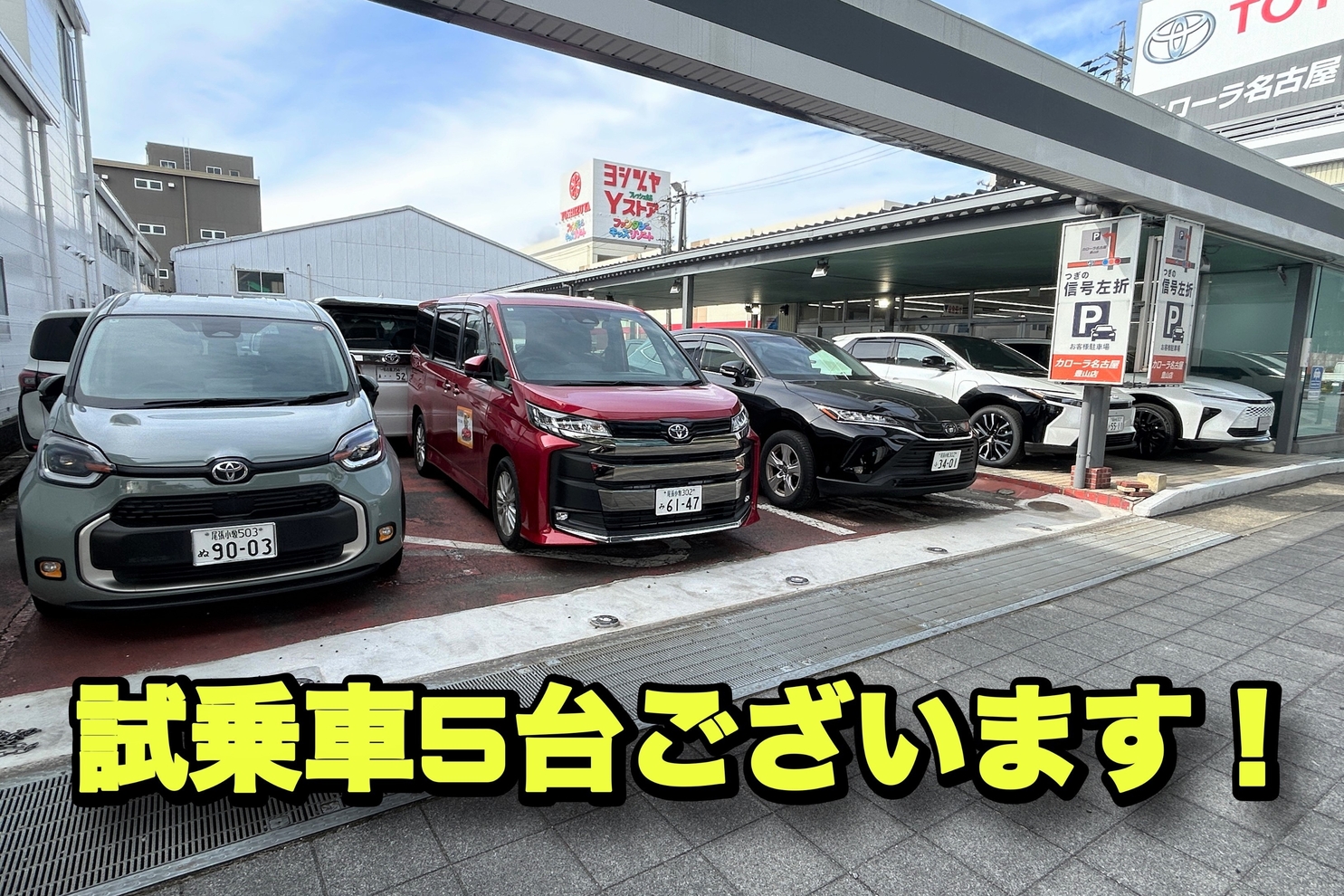 豊山⑤ 試乗車2