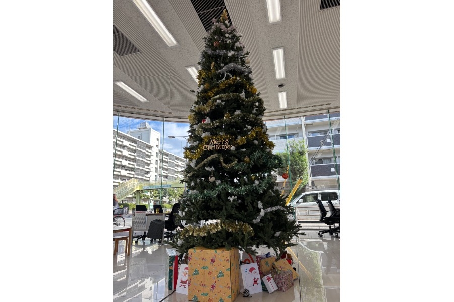 IMG_ツリー_C住吉