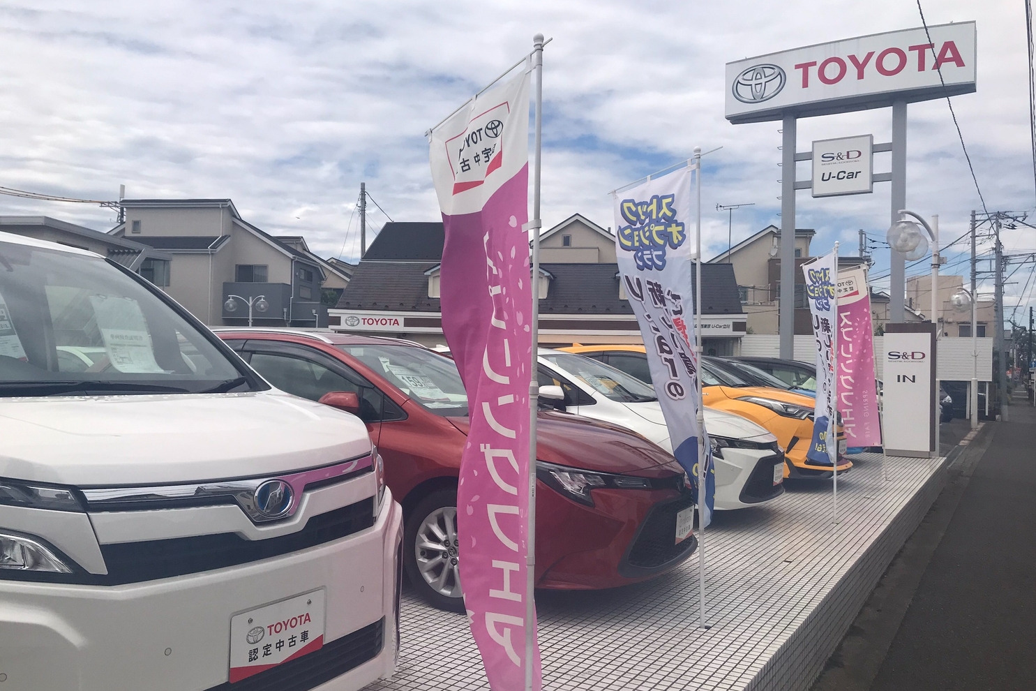 展示並び