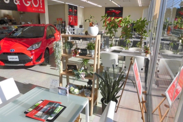 CIMG1512 - コピー