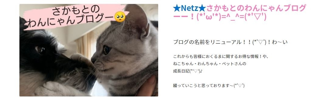 ネッツ新大阪,枚方山之上,新大阪,ネッツ,ブログ,猫,にゃんこ